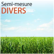 divers