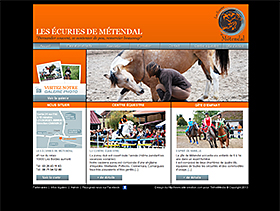 Metendal Equitation Aube.