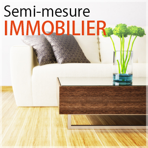 créer site à l'aide d'un site semi mesure immobilier